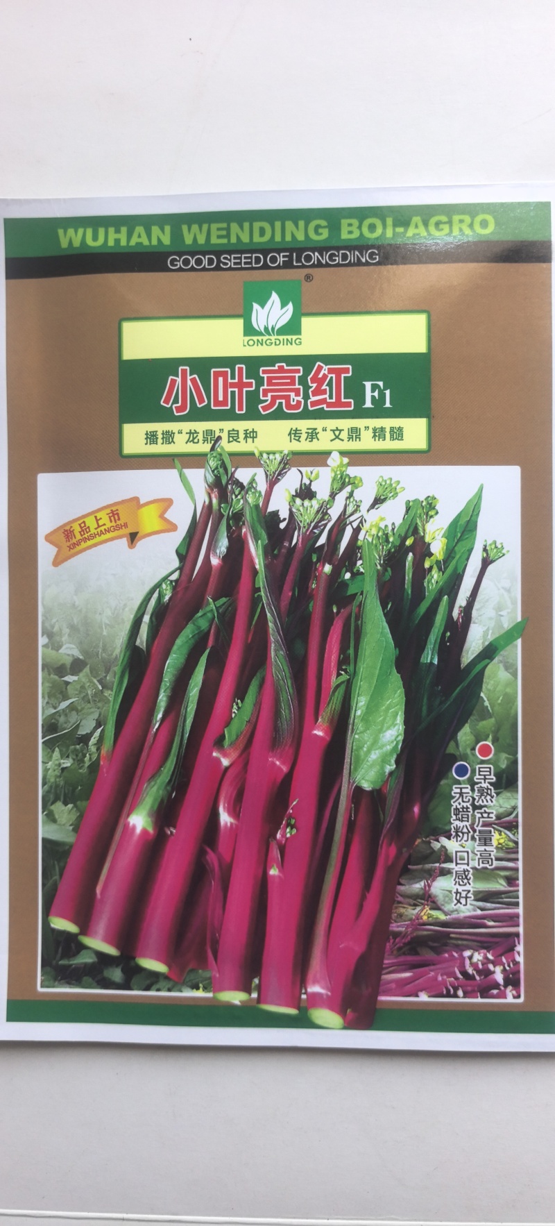 红菜苔种子小叶亮红早熟红菜苔杂交一代品种味甜品质优