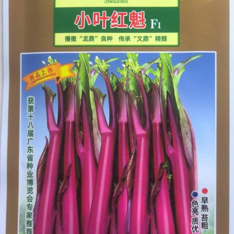 红菜苔种子小叶红魁早熟红亮小叶粗苔播后60天采主苔