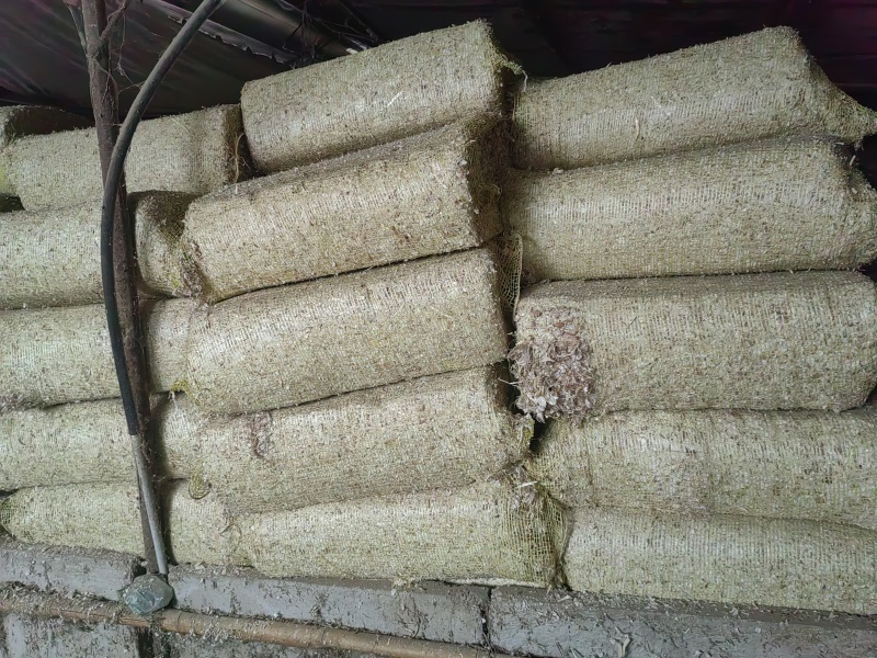 大蒜皮