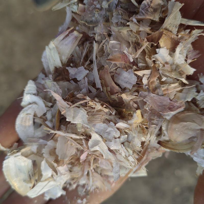 大蒜皮