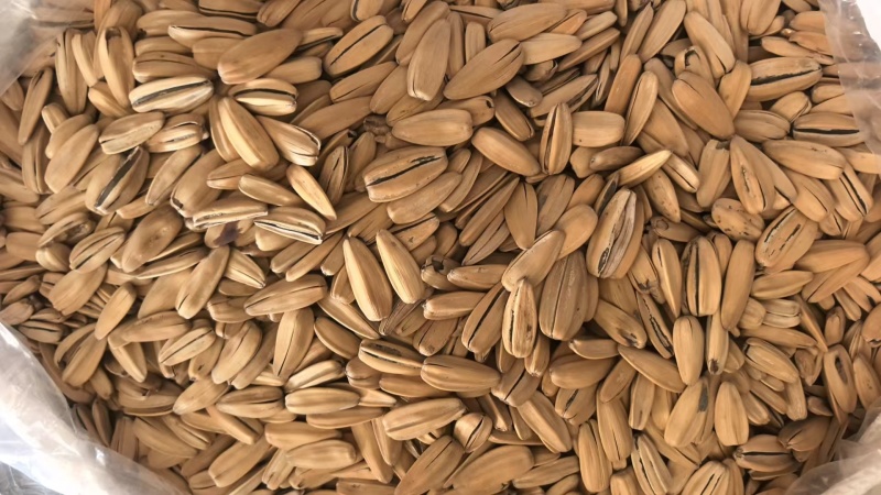 精品脱皮打手瓜子电商用货商超用货厂家直销一手货源
