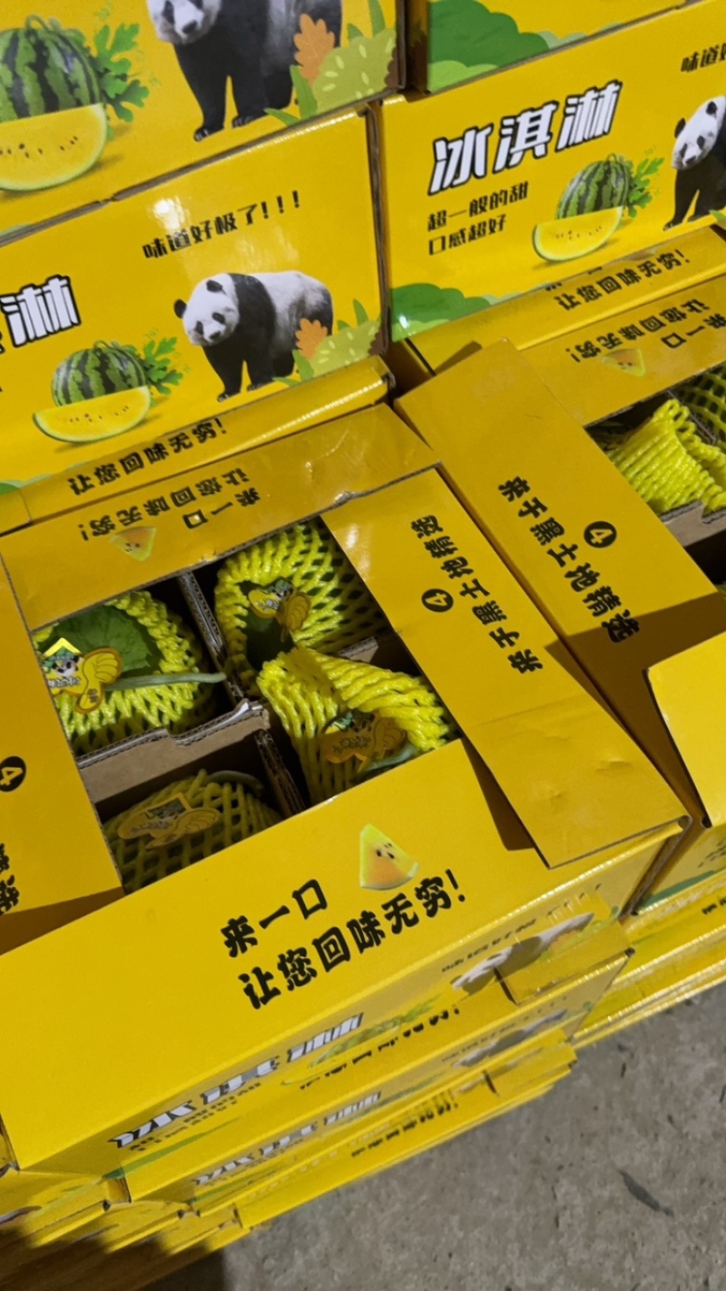 特小凤西瓜