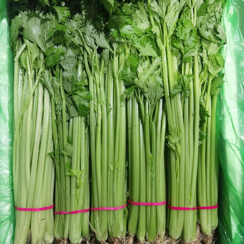 精品香芹