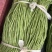 精品豆角