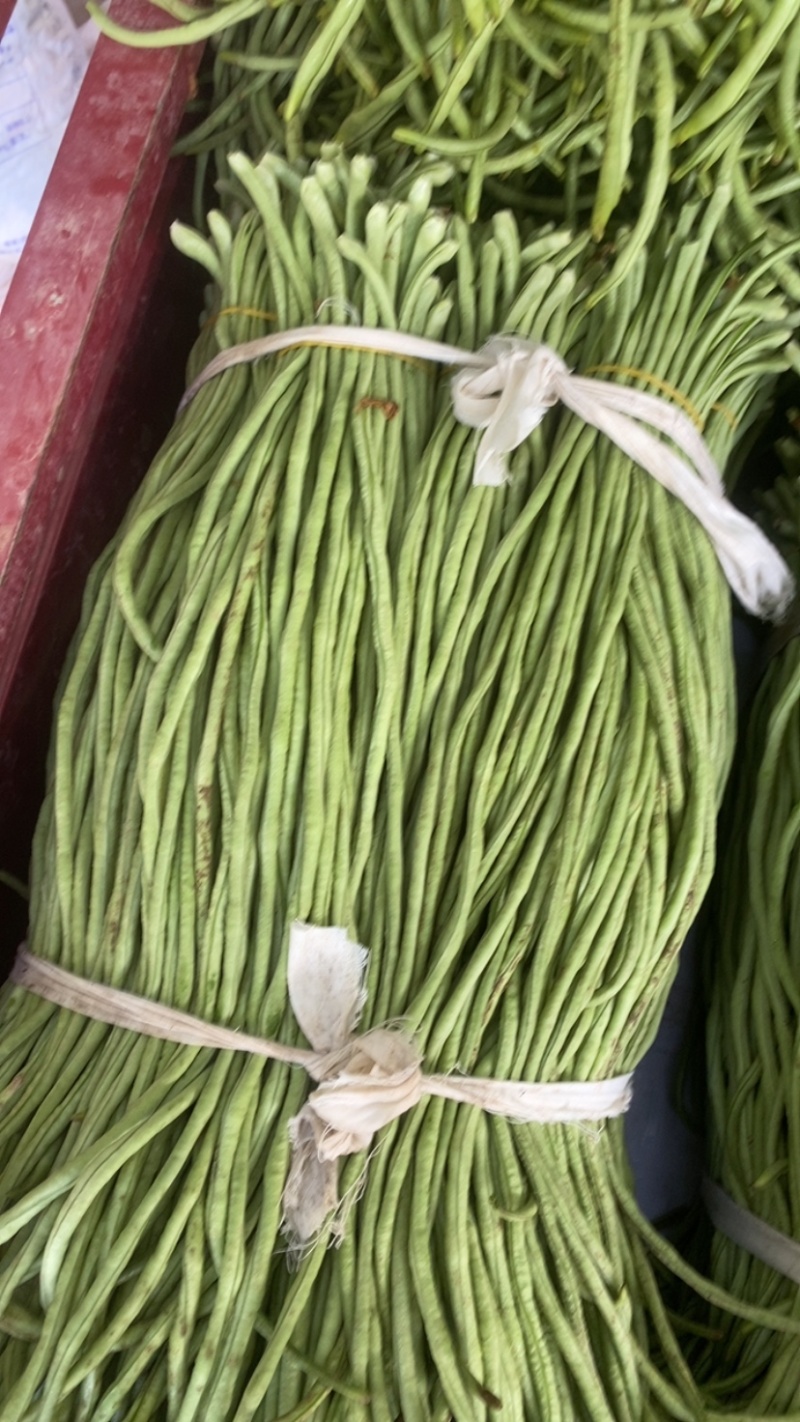 精品豆角