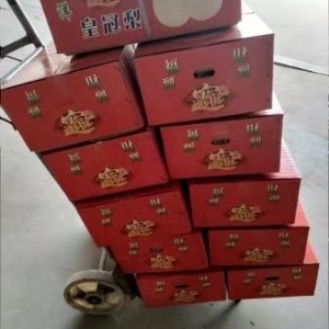 河北皇冠梨雪花梨，秋月梨
