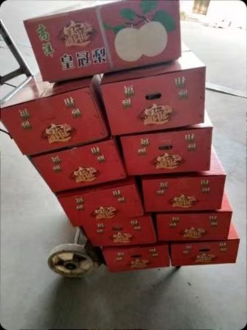 河北皇冠梨雪花梨，秋月梨