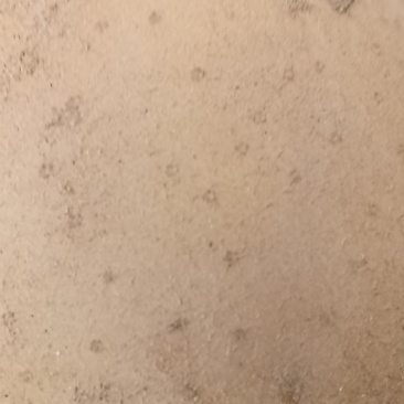 沃土土豆，精品土豆***********，欢迎联系看货