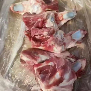 160后肘骨