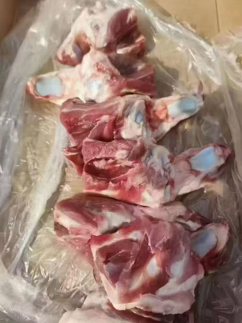 160后肘骨
