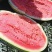 宁夏石头瓜