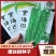辣椒种子，全螺麻面品质型螺丝椒中早熟，青果绿色