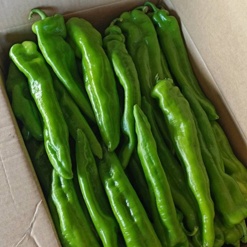 吉林地区绿尖黄尖青椒麻辣椒螺丝椒大量上市欢迎选购