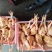 三黄鸡，肉杂鸡，白条鸡。一手货源，欢迎采购。