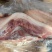 领汇带皮前上肉2-3片，25/7月新货