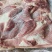 领汇带皮前上肉2-3片，25/7月新货