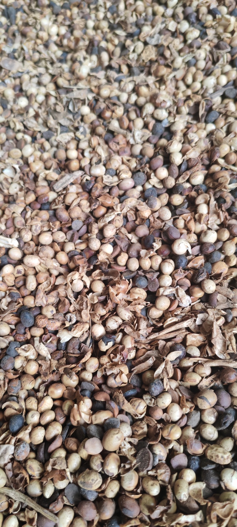 肥料大豆，碳化大豆，种地，种树，种肥好东西
