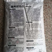 江西优质和普通中稻湿稻谷大量上市，质优价廉，