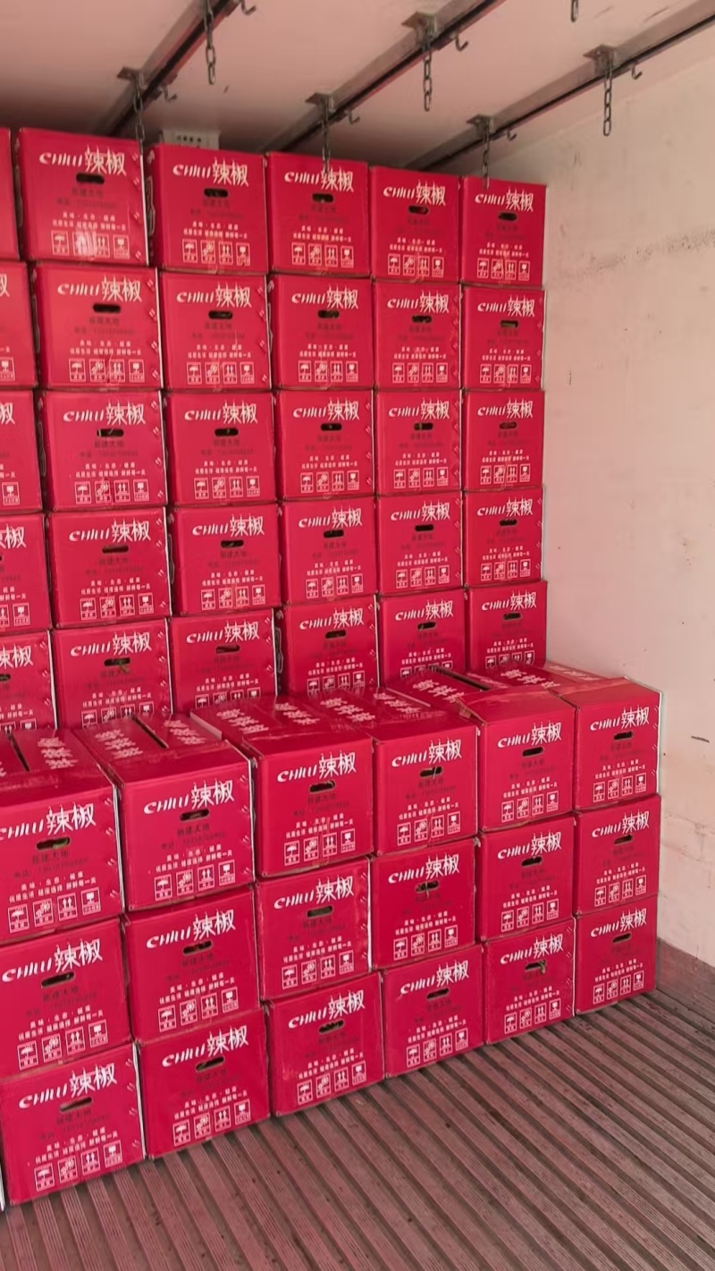 【荐】红辣椒，新鲜现摘，现货现发常年大量供应量大优惠