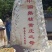 黄皮果