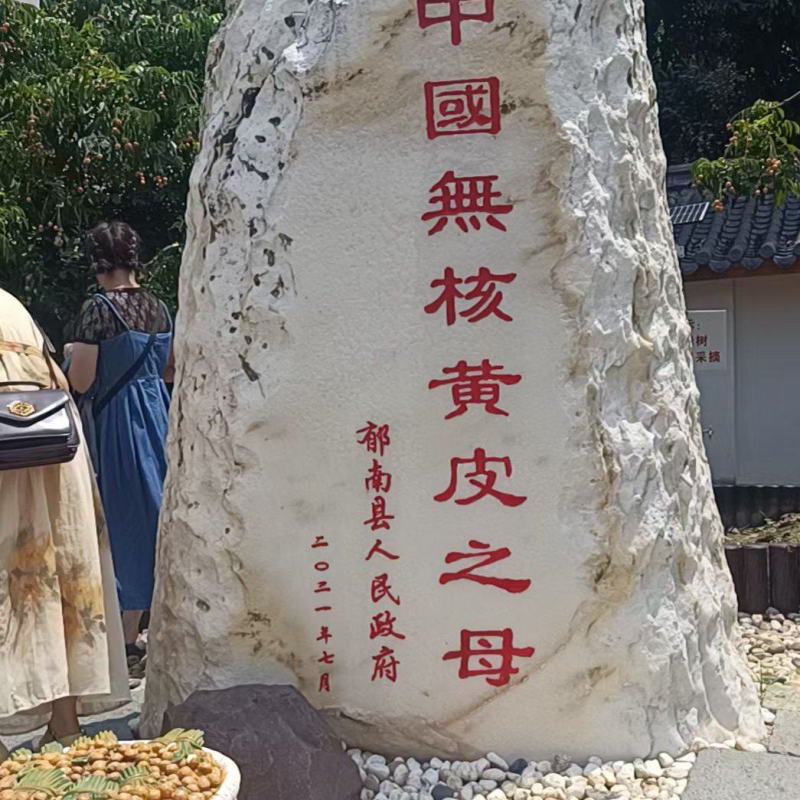 黄皮果
