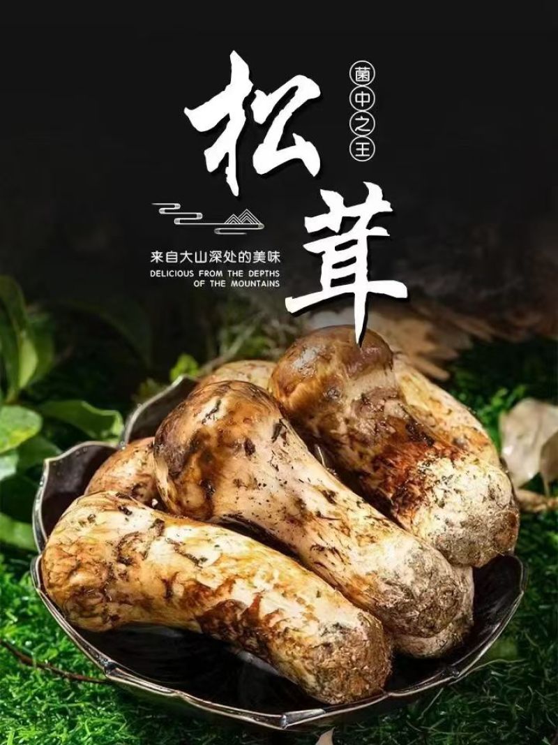 松茸
