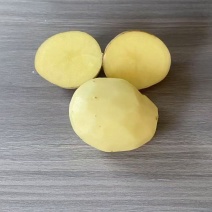 2-4两电商货黄皮黄心土豆，大量现货，精选机精准筛选~