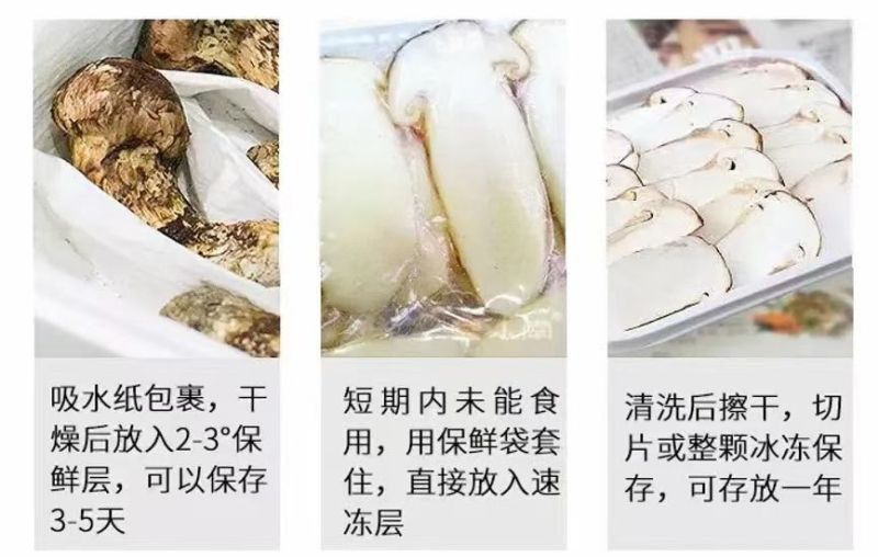 鲜松茸东北顺发货野生松茸每天价格不一样需要询价