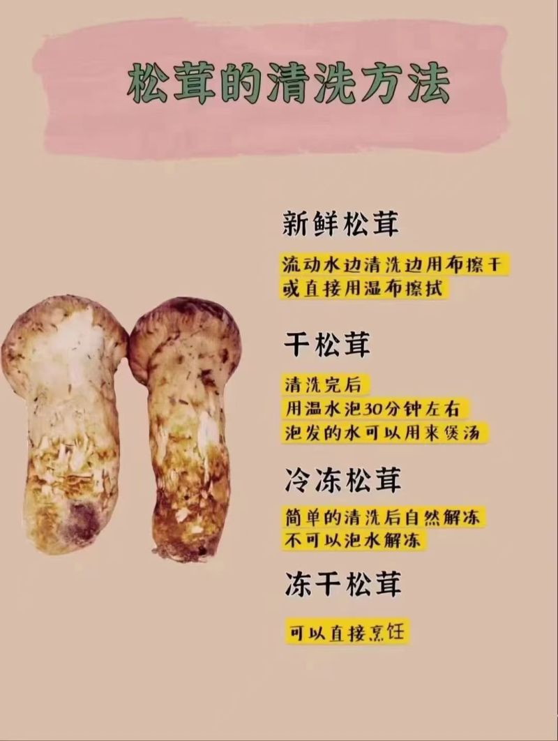 鲜松茸东北顺发货野生松茸每天价格不一样需要询价