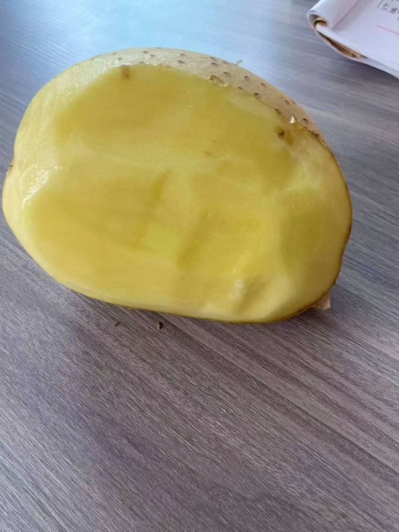 精选黄皮黄心沃土5号土豆，大量现货，可干洗~