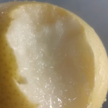 黄冠梨脆甜汁多
