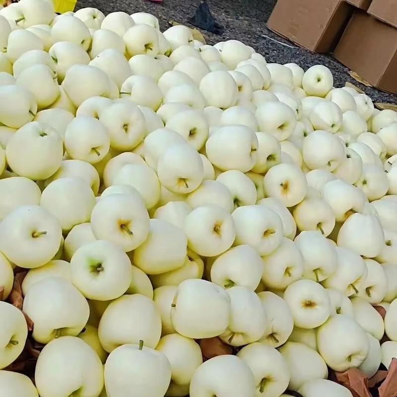 《黄金帅苹果》辽宁绥中产地直供/规格齐全货源充足量大