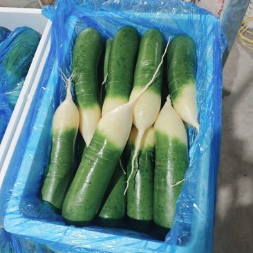 水果萝卜