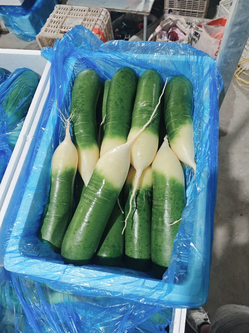 水果萝卜