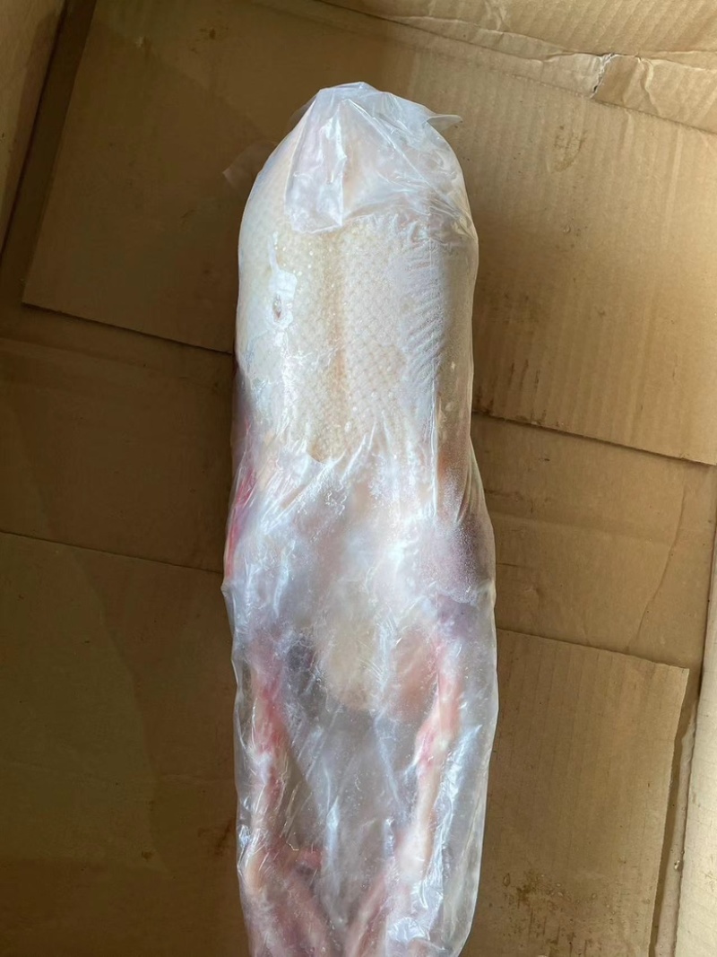 白条鸭，全鸭，半净膛、全净膛，厂家直供2-6斤