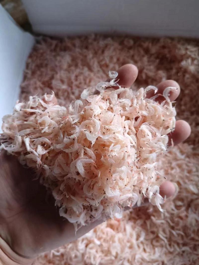 浙江东海淡干虾皮，量大的看过来。量大从优。