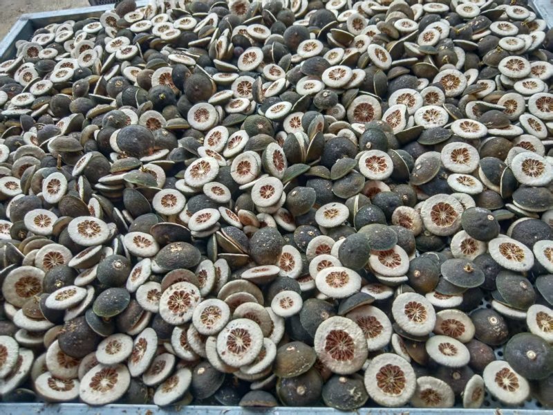 新货枳壳，