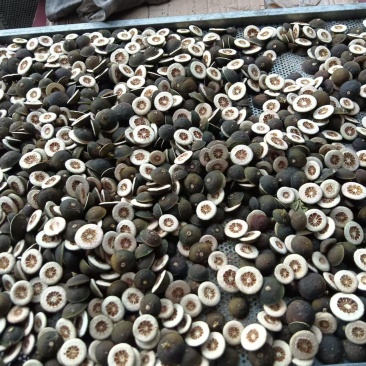 新货枳壳，