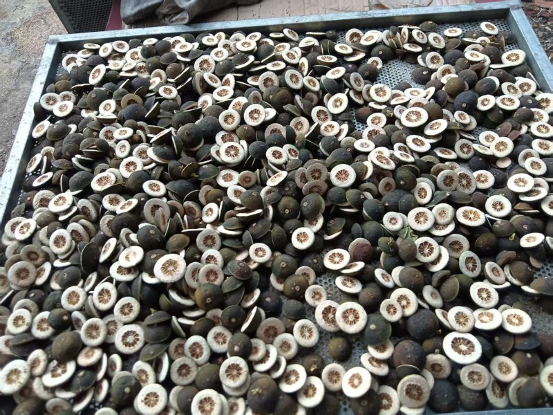 新货枳壳，