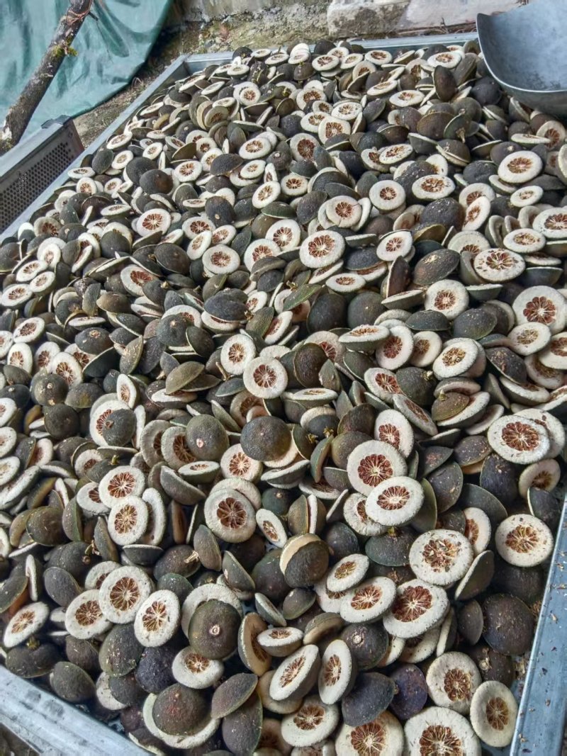 新货枳壳，