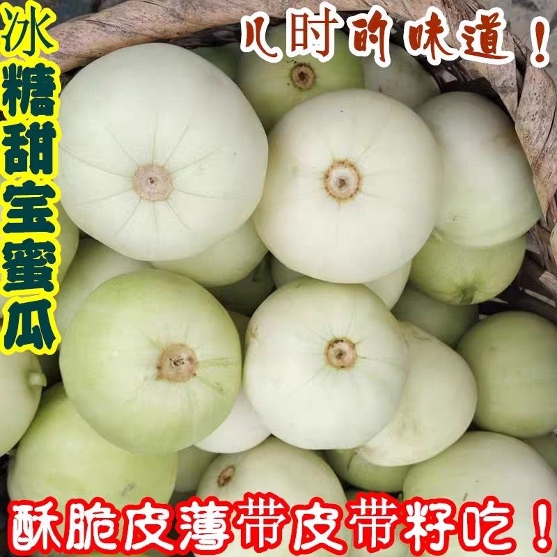 甜宝日本甜宝小甜瓜小白瓜小香瓜江苏南通产地大篷直发