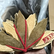 正品化橘红七爪，2袋起售