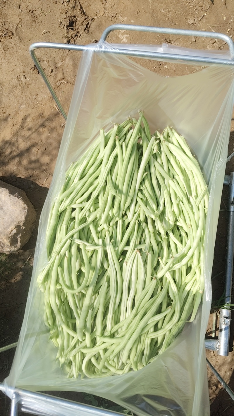 大量出货