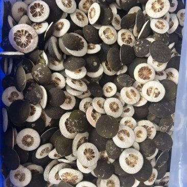 枳壳