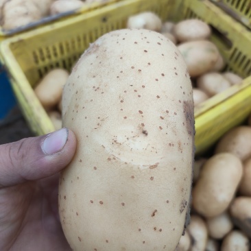 3两起步