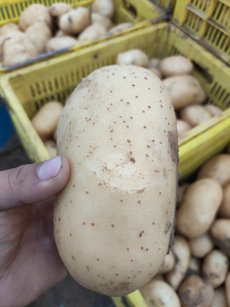 3两起步