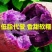 【香甜紫薯】沙地紫薯新鲜紫罗兰红薯蜜薯紫地瓜蔬菜批发软糯