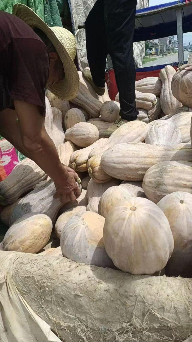 表皮亮亮的，人工挑选，质量保证，量大从优，信誉商家