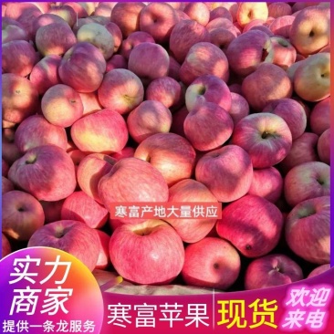《绥中寒富苹果》高山苹果&辽宁苹果/产地现货一条龙服务