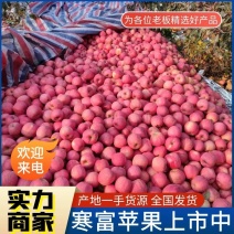 【寒富苹果】高山寒富士/产地大量上市/现摘现发/全国发货